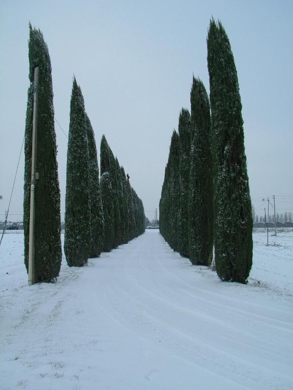 Pensjonat Bb Mambrotta San Martino Buon Albergo Zewnętrze zdjęcie
